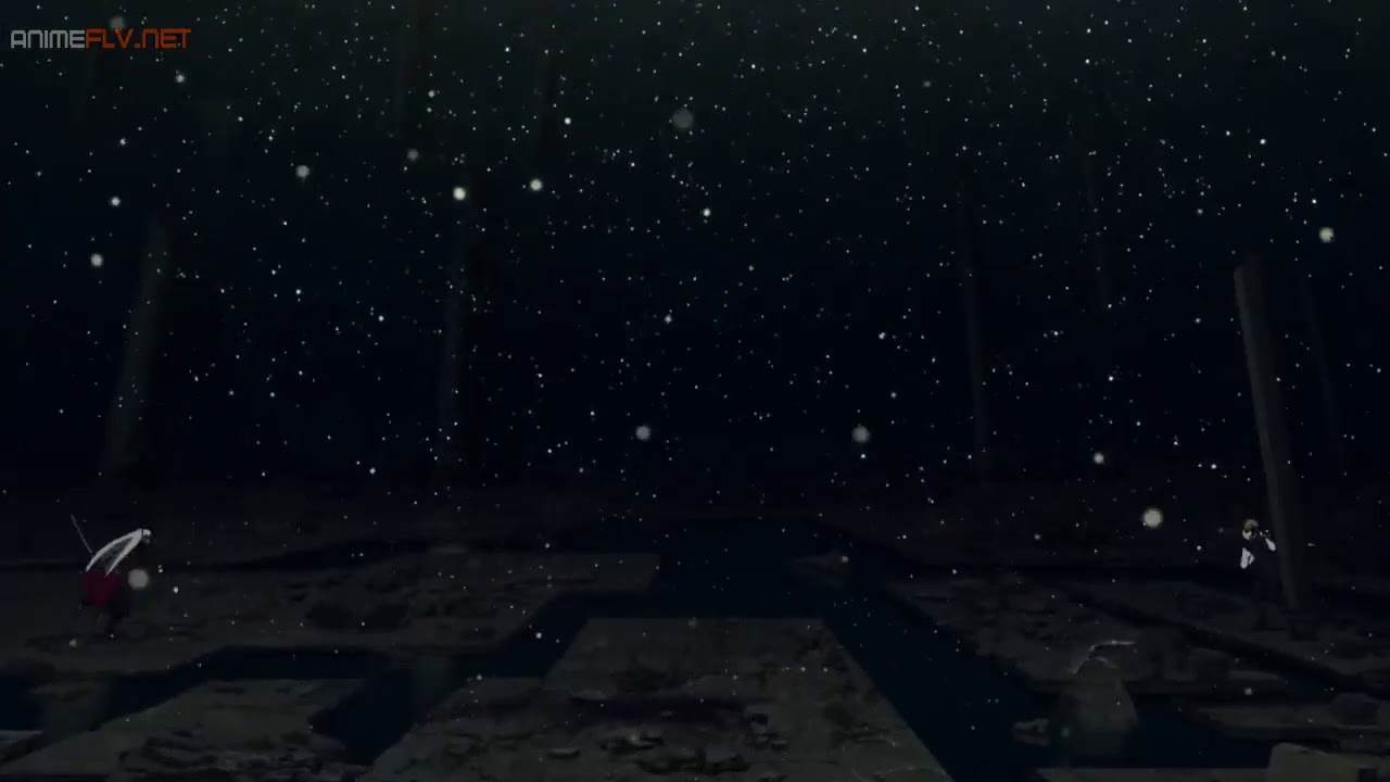 Sieg vs shirou fate/apocrypha