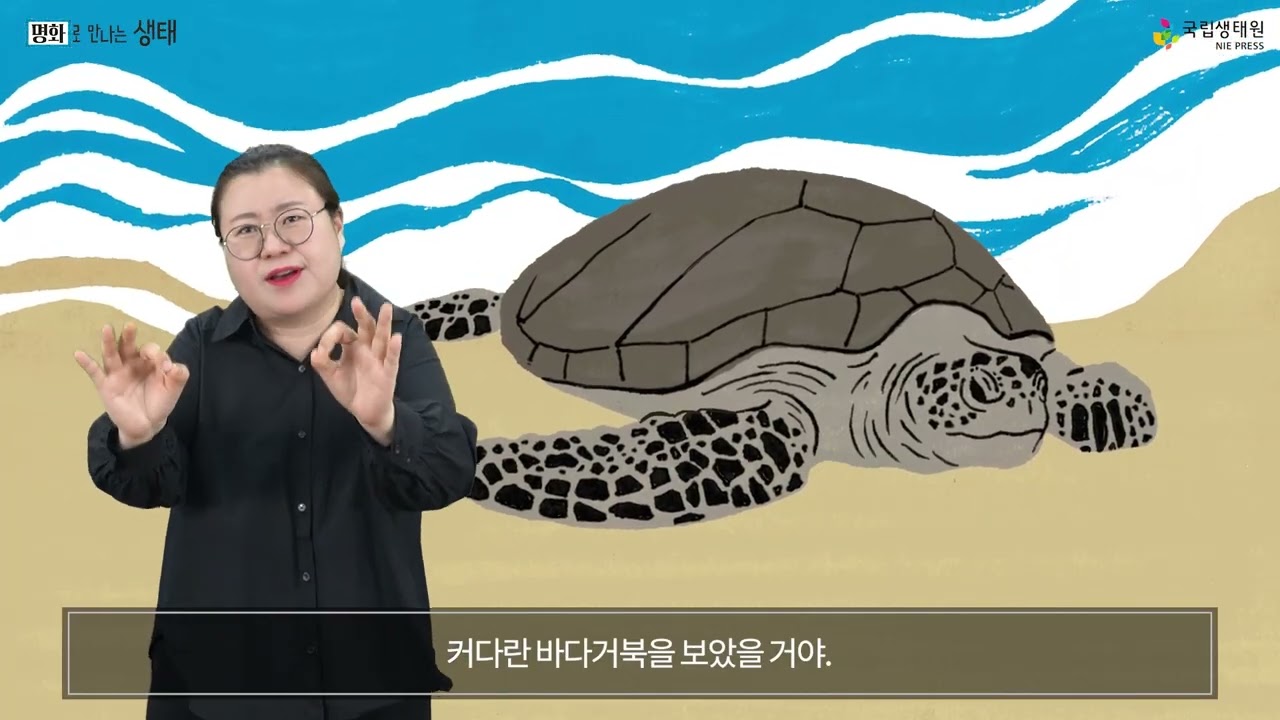[수어영상도서] 명화로 만나는 생태_양서파충류 편 ⑦ 바다거북은 온도에 따라 수컷이 되거나 암컷이 돼