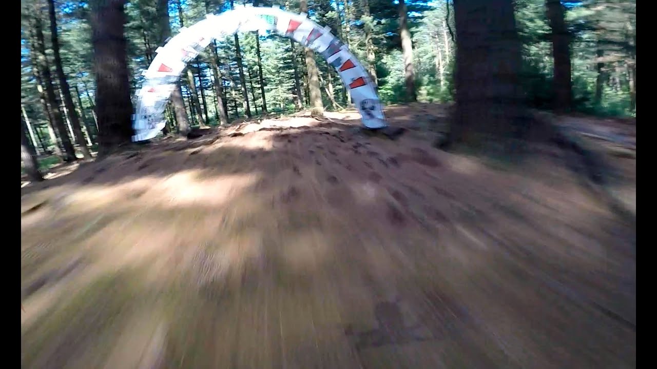 TREE NATIONALS &bull; FPV Forest Racing &bull;