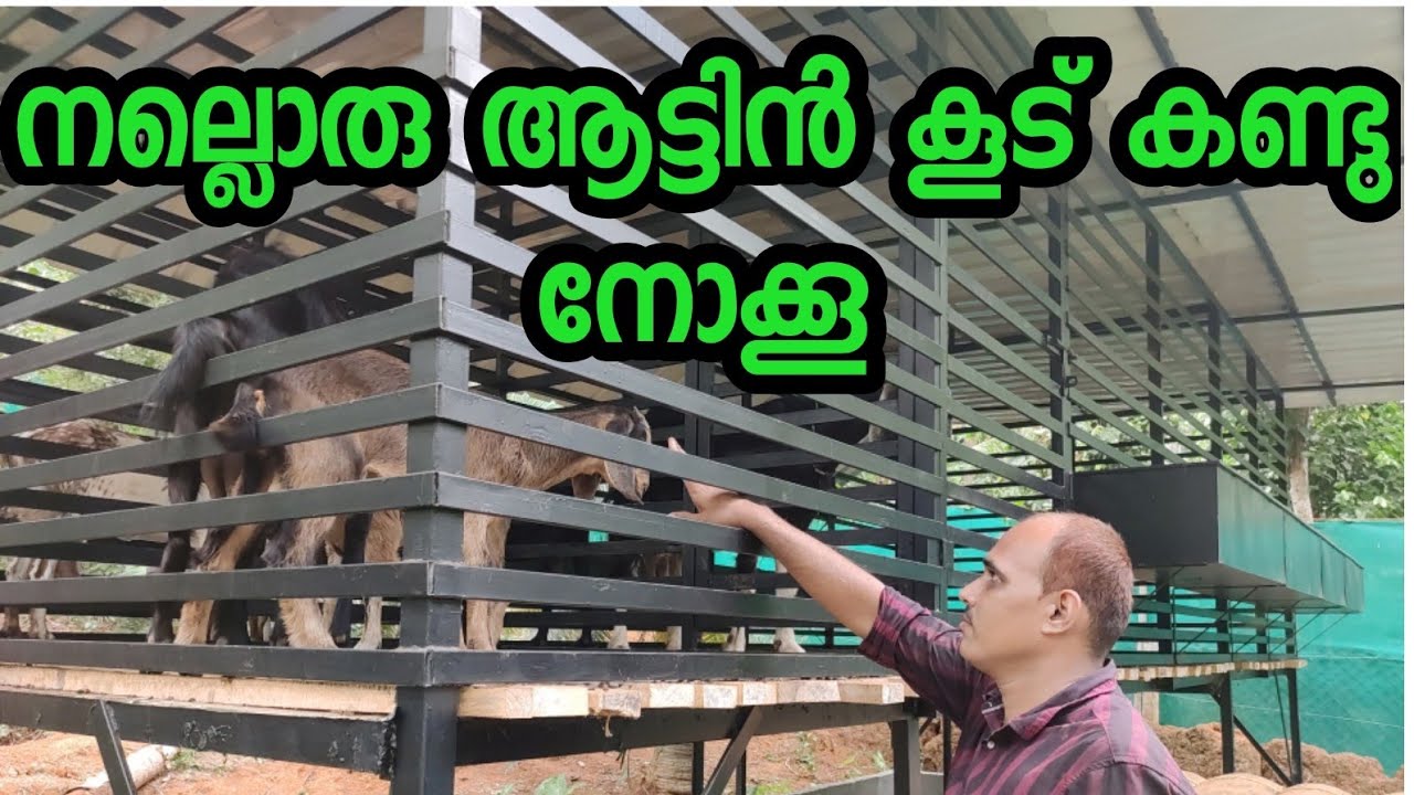 ആട് ഫാം തുടങ്ങുന്നവർക്ക് നല്ലൊരു അട്ടിൻകൂട് പരിചയപ്പെടാം,goat farm & goat cage