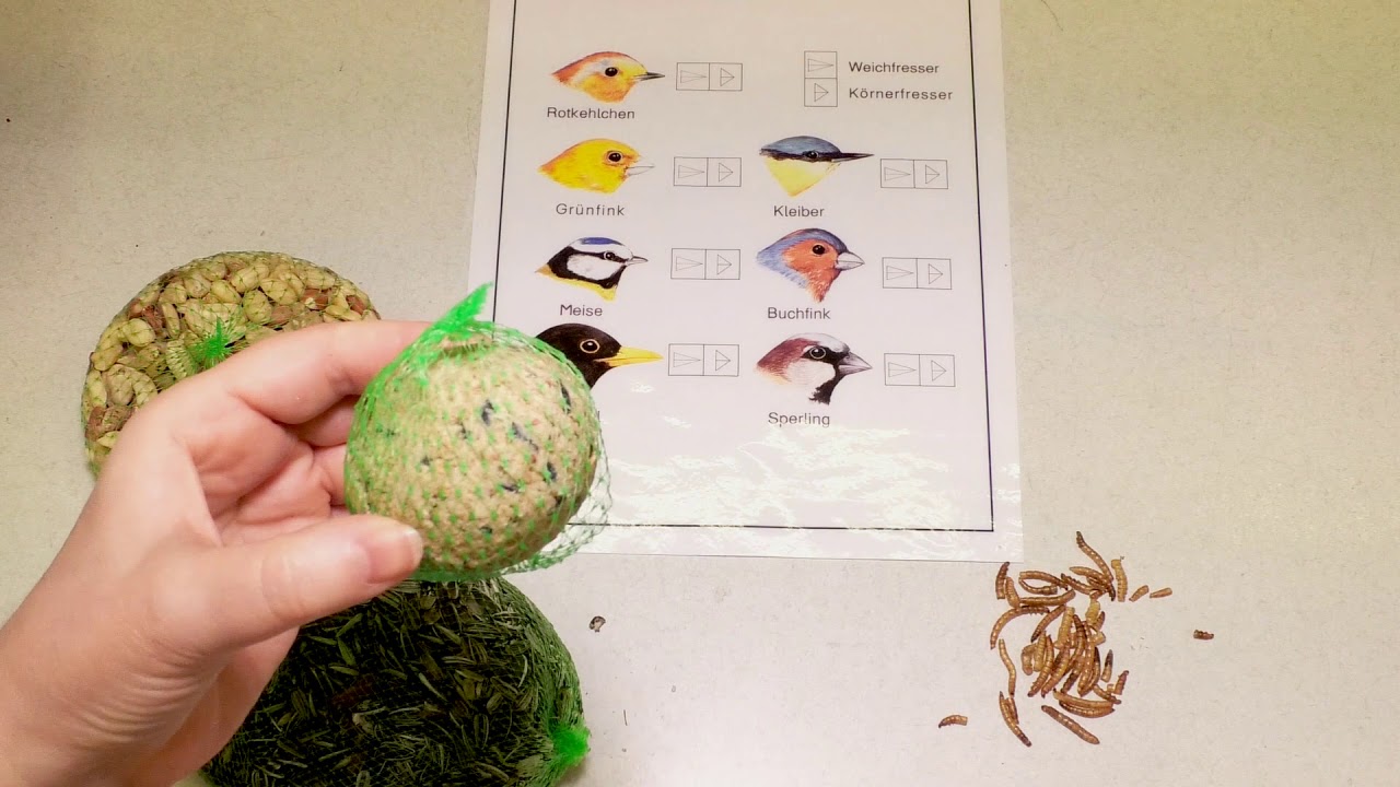 Vogelschn&auml;bel - K&ouml;rnerfresser - Weichfutterfresser