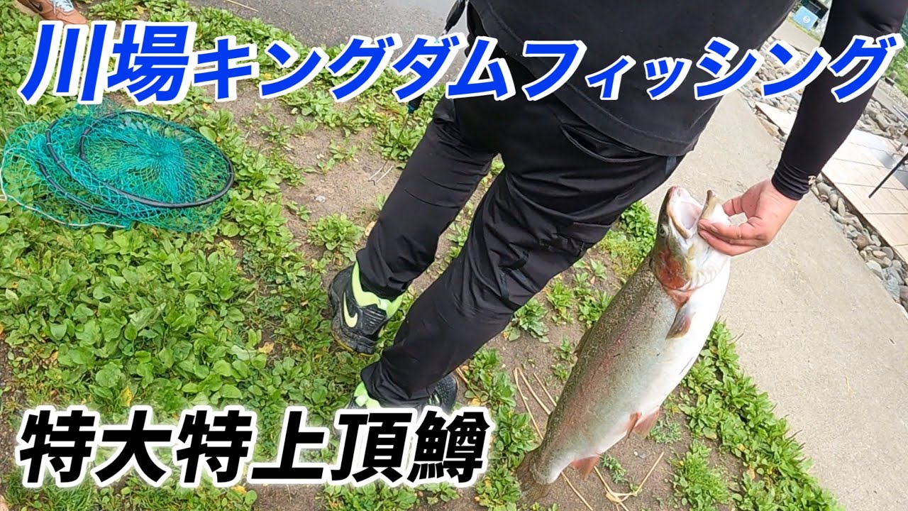 特大特上頂鱒　狙い！川場キングダムフィッシング【エリアトラウト】