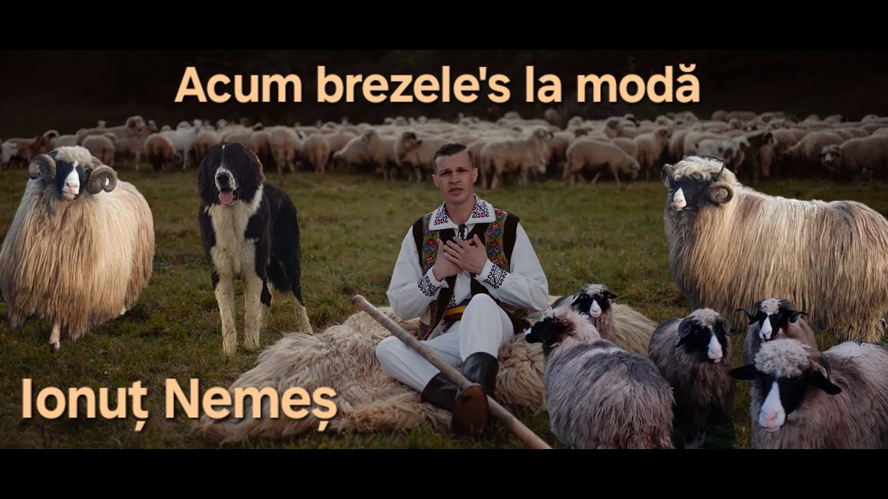 Ionut Nemes - Acum brezele's la moda 🐏 (Official Music Video)