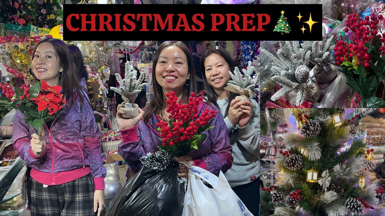 Christmas Shopping 🛍️ & Decorating With My Sisters🎄✨| Pure Festive Vibes 🎄✨🎄