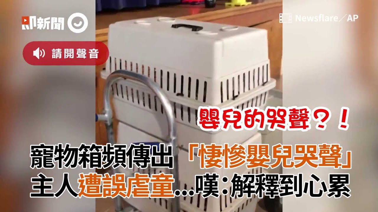 美國鸚鵡躲寵物箱狂學嬰兒哭 害主人被誤會虐童：解釋到心累｜寵物鳥