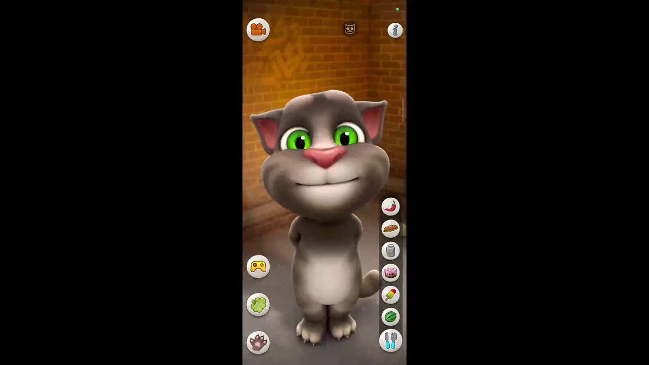 My tom cat p 2 funny tom