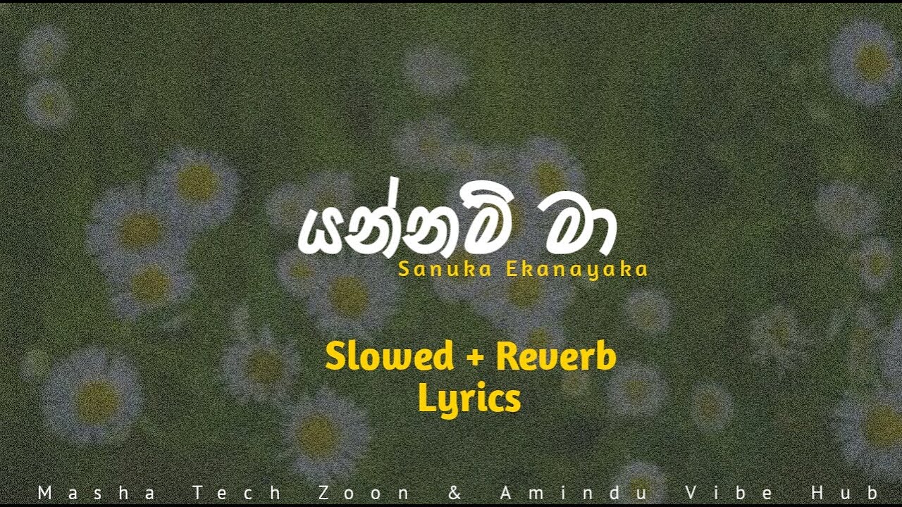 යන්නම් මා | Yannam ma | Slowed and Reverb | Yannam ma song lyrics | Masha tech zoon entertainment