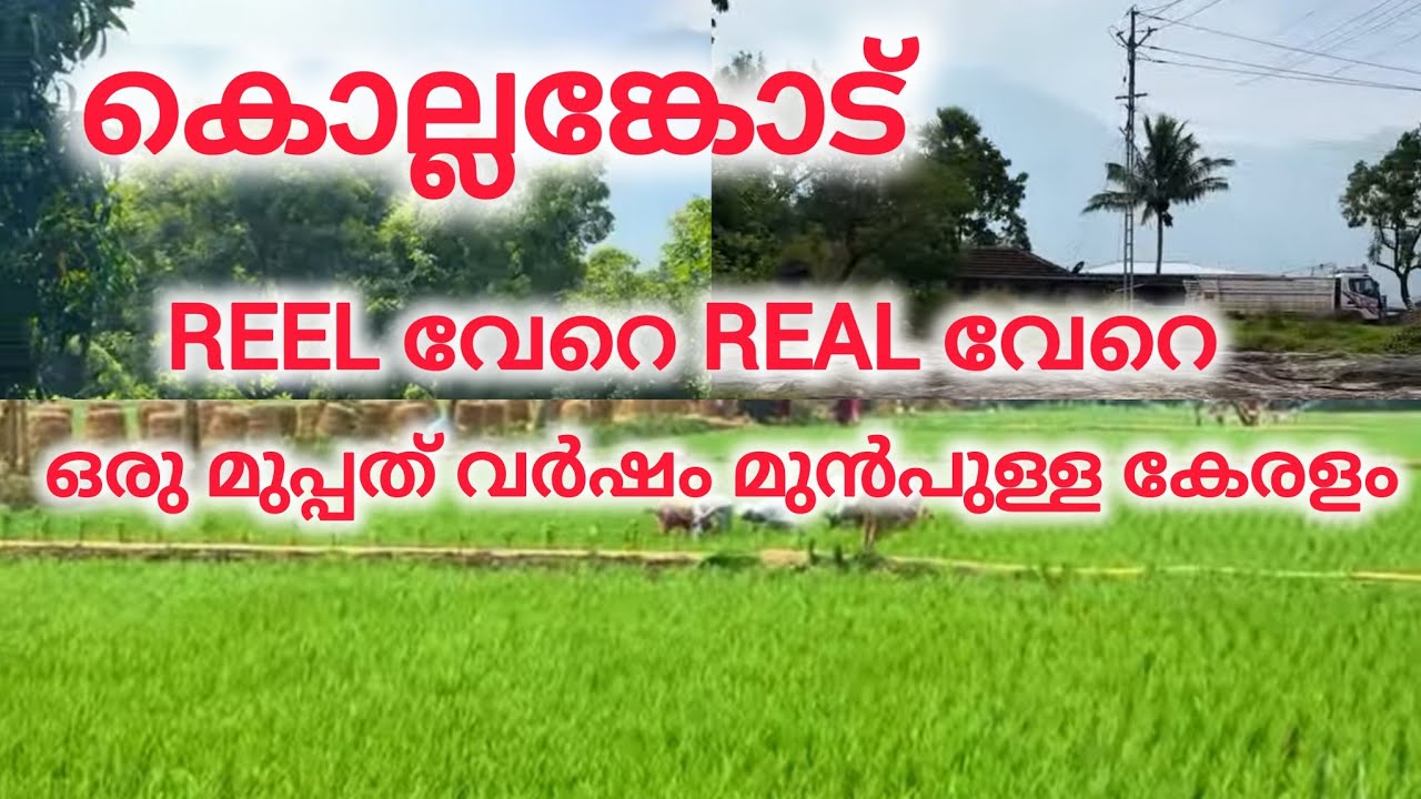 കൊല്ലങ്കോട് Reel വേറെ Real വേറെ 