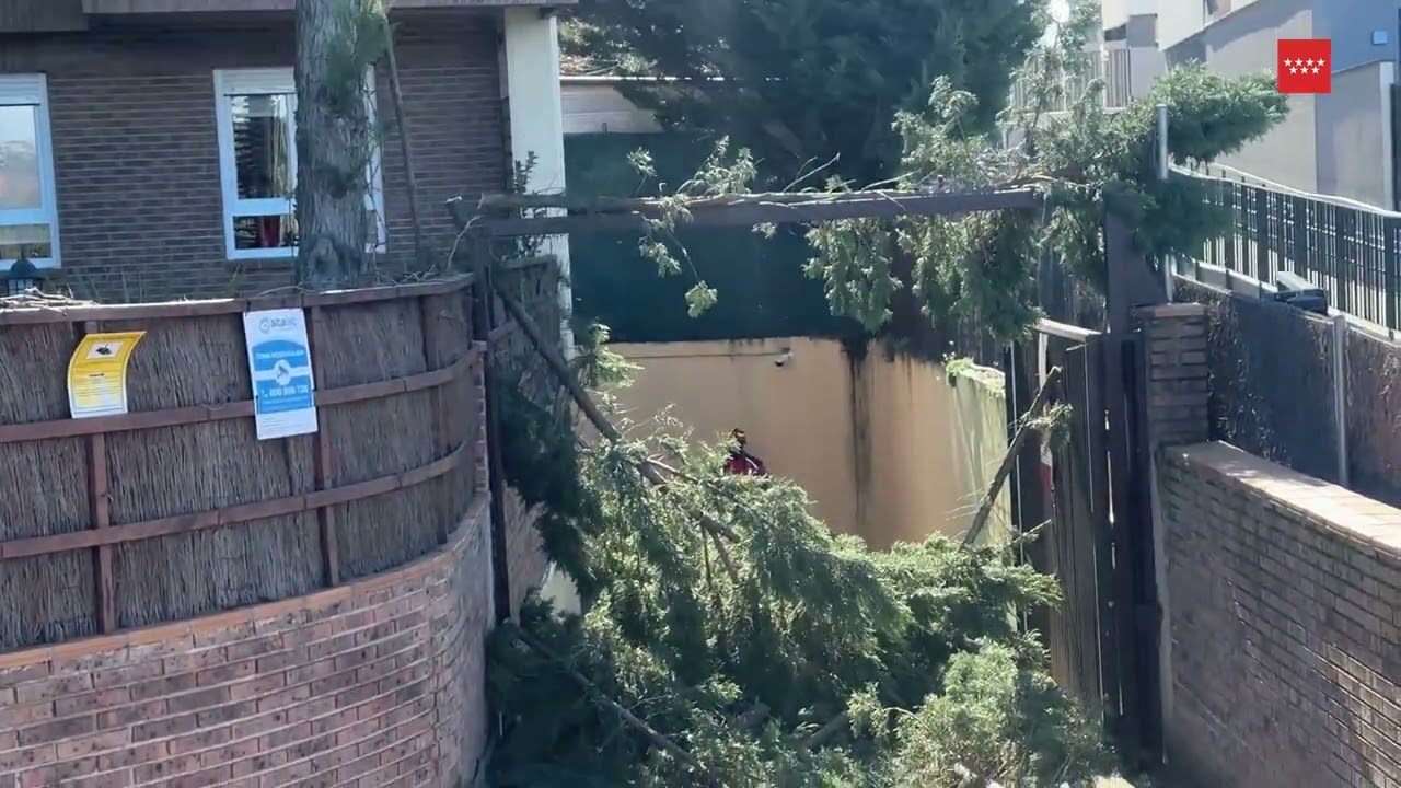 Balance intervenciones por viento expedientes gestionados por Madrid112 y actuaciones BomberosCM