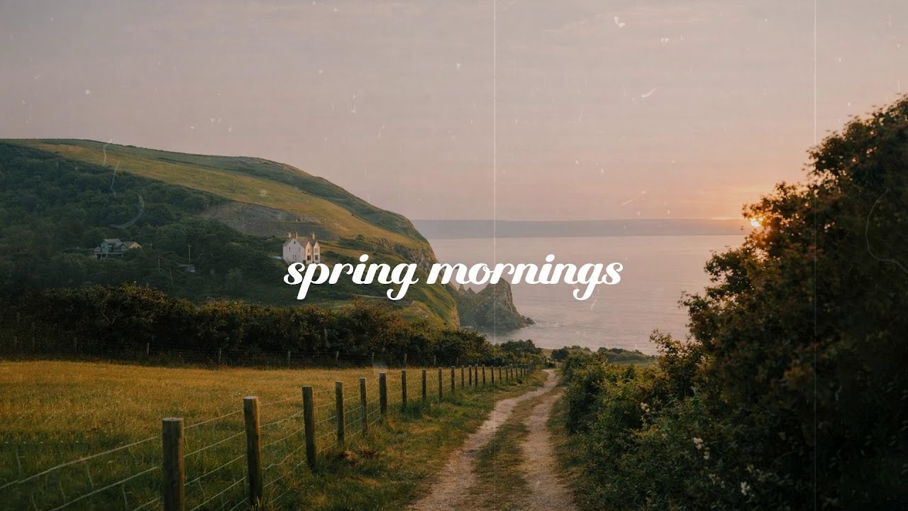 a playlist for a quiet morning ☘️🌿🌄