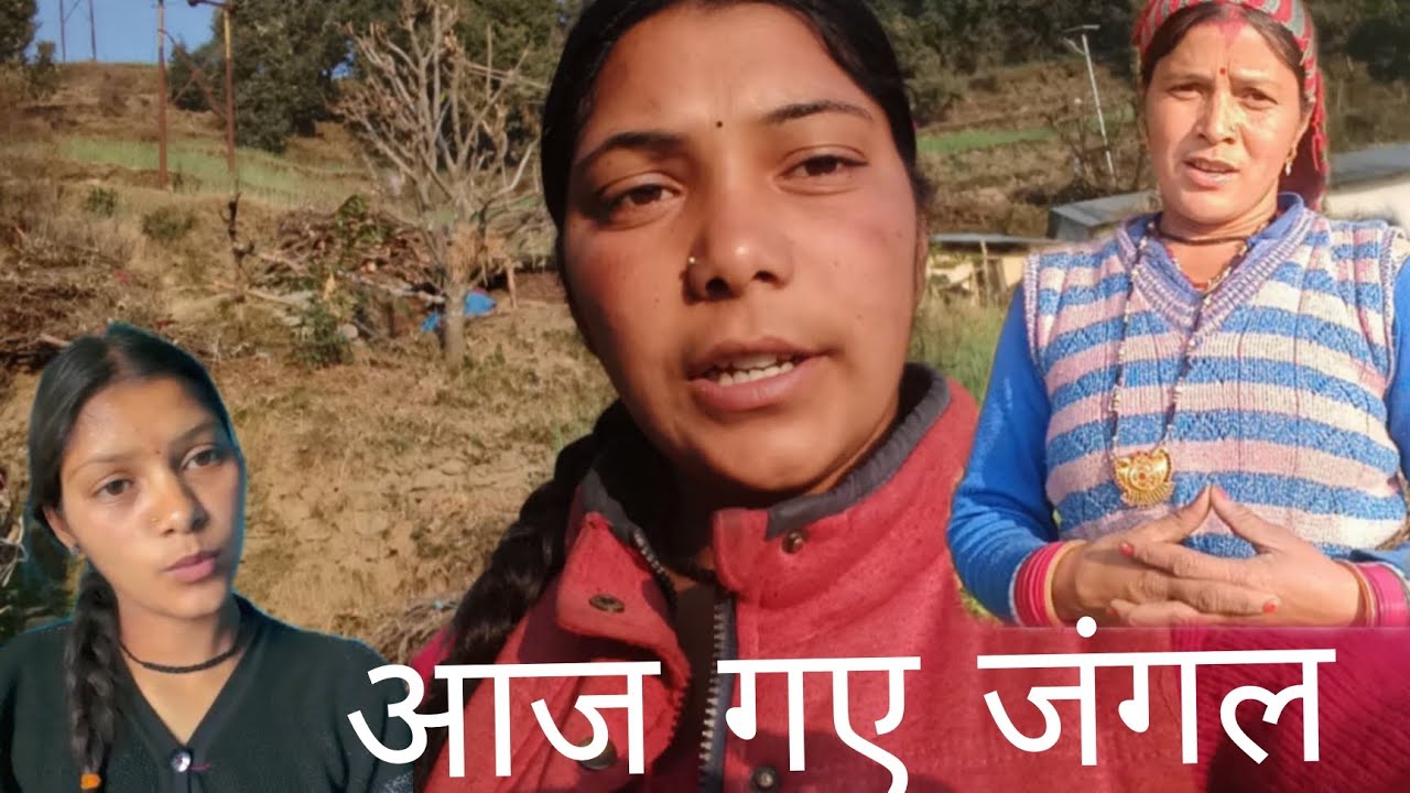आज हम गए जंगल 