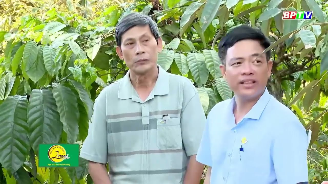 Cà Phê