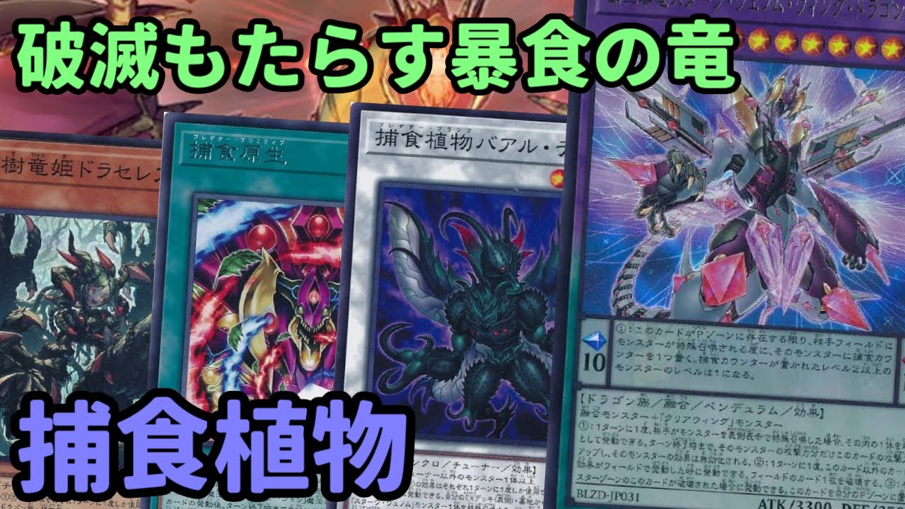 【#遊戯王】クリアウィングを素材に融合！新たなカードが追加されたことで超強化された『捕食植物』紹介します！【#トレカカルテ】