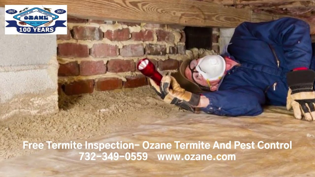 FREE TERMITE INSPECTION TOMS RIVER 732-349-0559 | Ozane.com