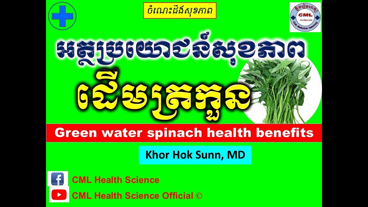 អត្ថប្រយោជន៍សុខភាព ដើមត្រកួន l Green water spinach health benefits ll @cmlhealthscienceofficial​