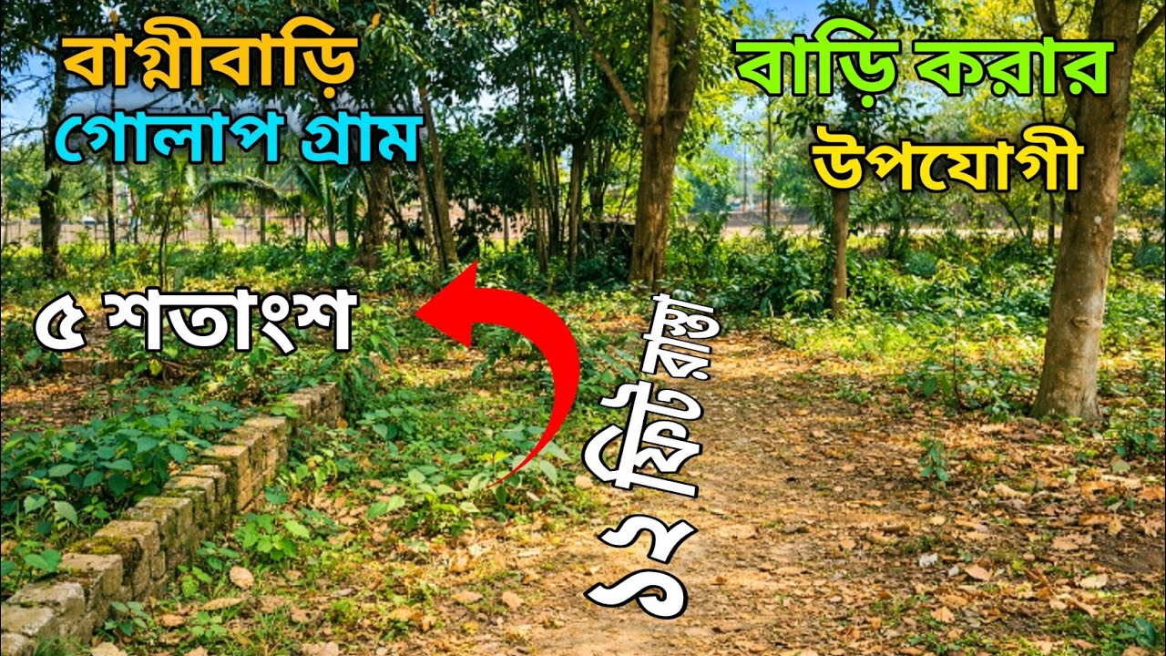 বিরুলিয়া বাগ্মীবাড়ি গোলাপ গ্রামে কম দামে ৫ শতাংশ জমি বিক্রি হবে এখনই যোগাযোগ করুন- 01897716148
