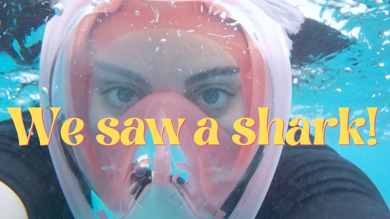 Explore the Underwater World of Smith's Reef in the Turks and Caicos!