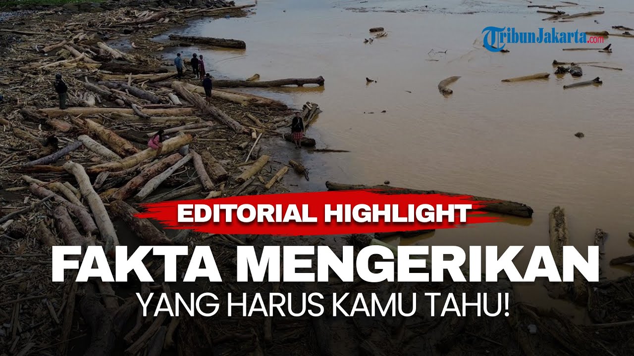 EDITORIAL HIGHLIGHT | Banjir Bandang Sumatra 2025: Fakta Mengerikan yang Harus Kamu Tahu!