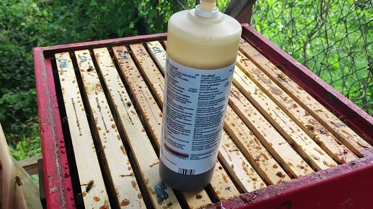 Léčba včel proti roztoči Varroa destructor na konci léta, léčím VaroMedem. Brno 09/2023.