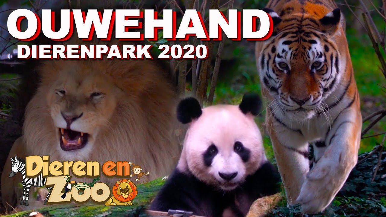 Dagje Ouwehand Dierenpark 2020