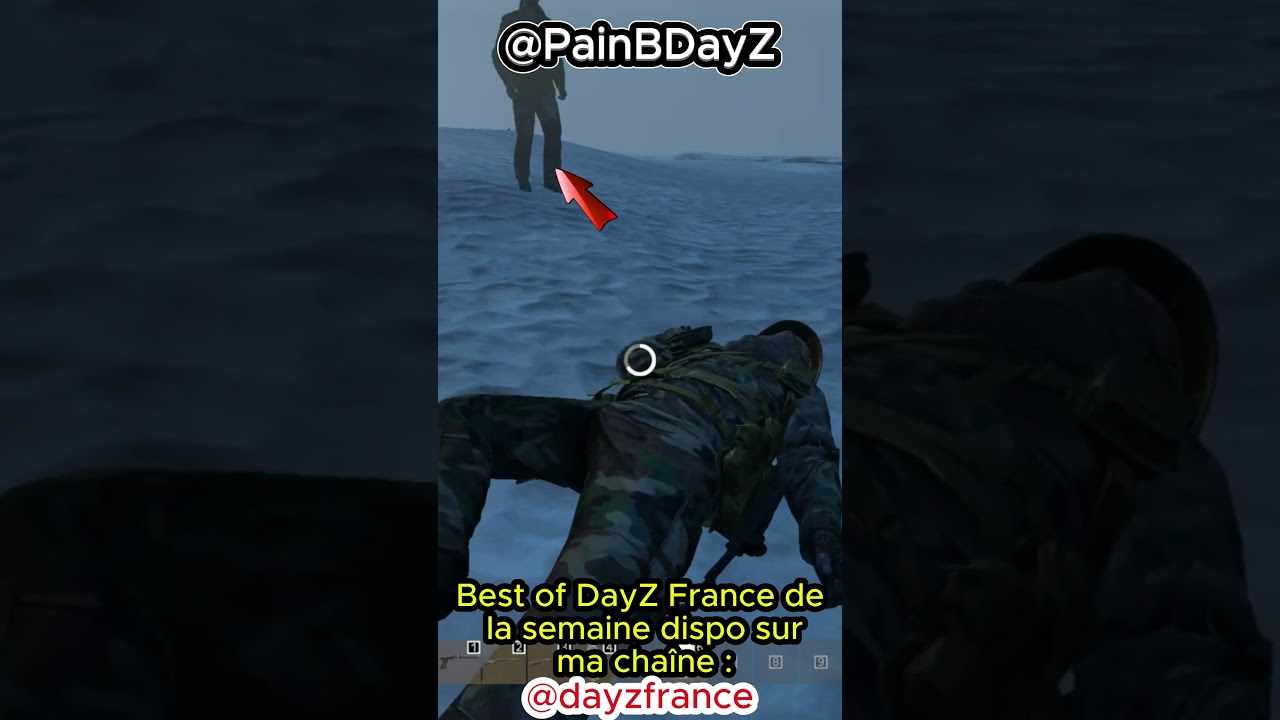 DAYZ FR : ne JAMAIS &ecirc;tre DISTRAIT !!! 😅🤣@ShaunLfv    #DayZ #DayZFR #dayzclips