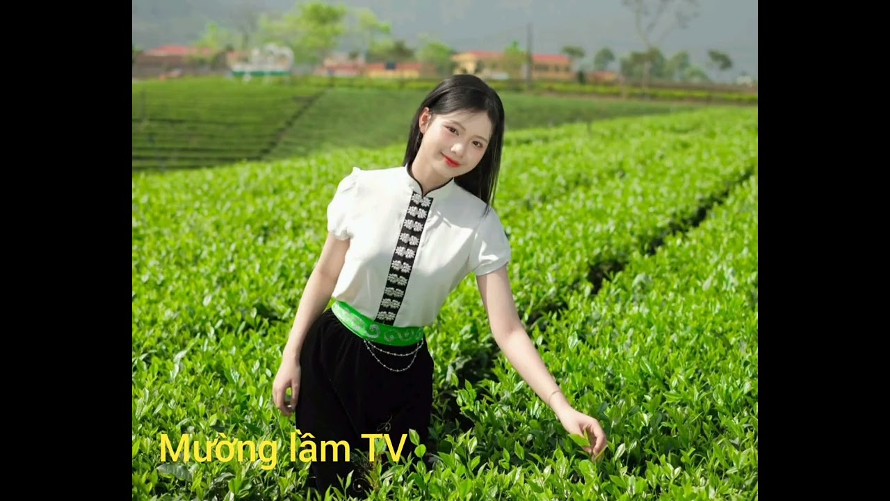 Hát thái giao lưu mới nhất... mường lầm TV 