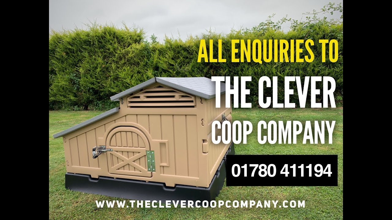 Snap Lock Standard Coop Assembly - The Clever Coop Company