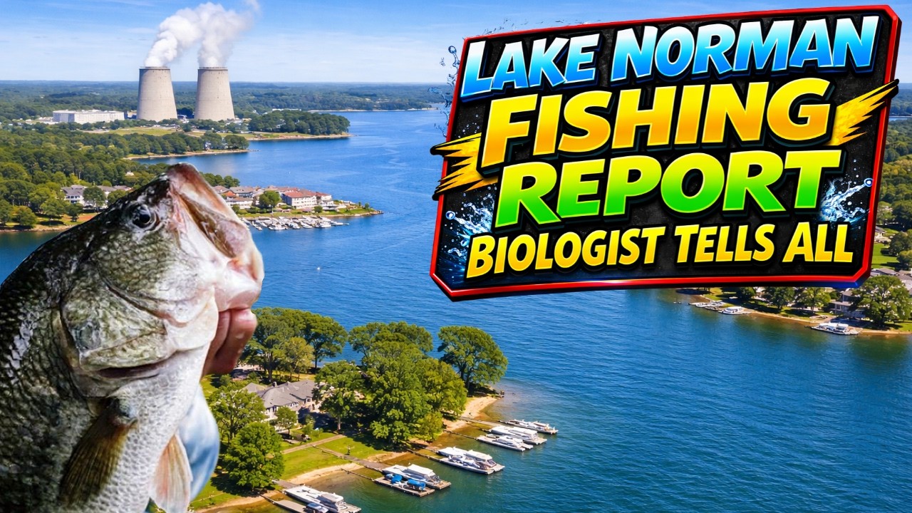 Lake Norman Bass Fishing Report with Biologist Casey Joubert