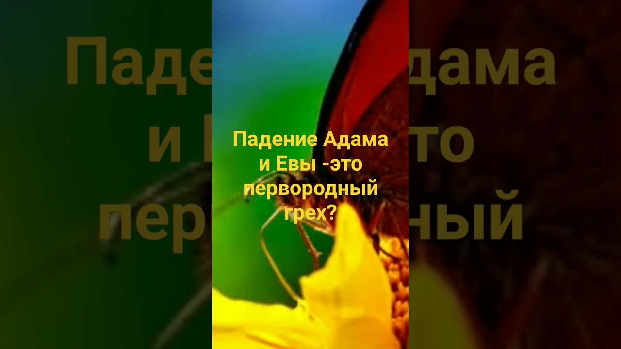 ПАДЕНИЕ АДАМА И ЕВЫ - ЭТО ПЕРВОРОДНЫЙ ГРЕХ? Нилл Дональд Уоллш.