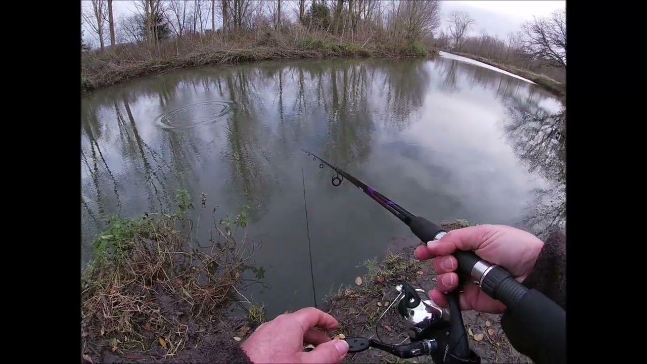 Piking on the Chelmer