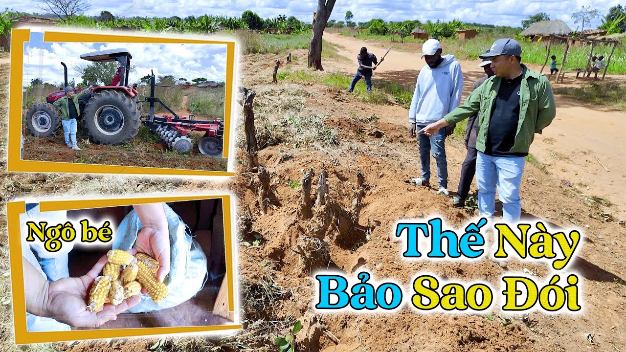 Đông Paulo || Đã Tìm Ra T.hủ Ph.ạm Gây Ra Cái Đói, Cả Bản Ra Quân Quyết Theo Người Việt Nam!