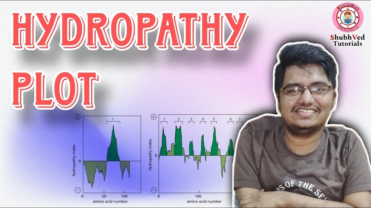 Hydropathy Plot