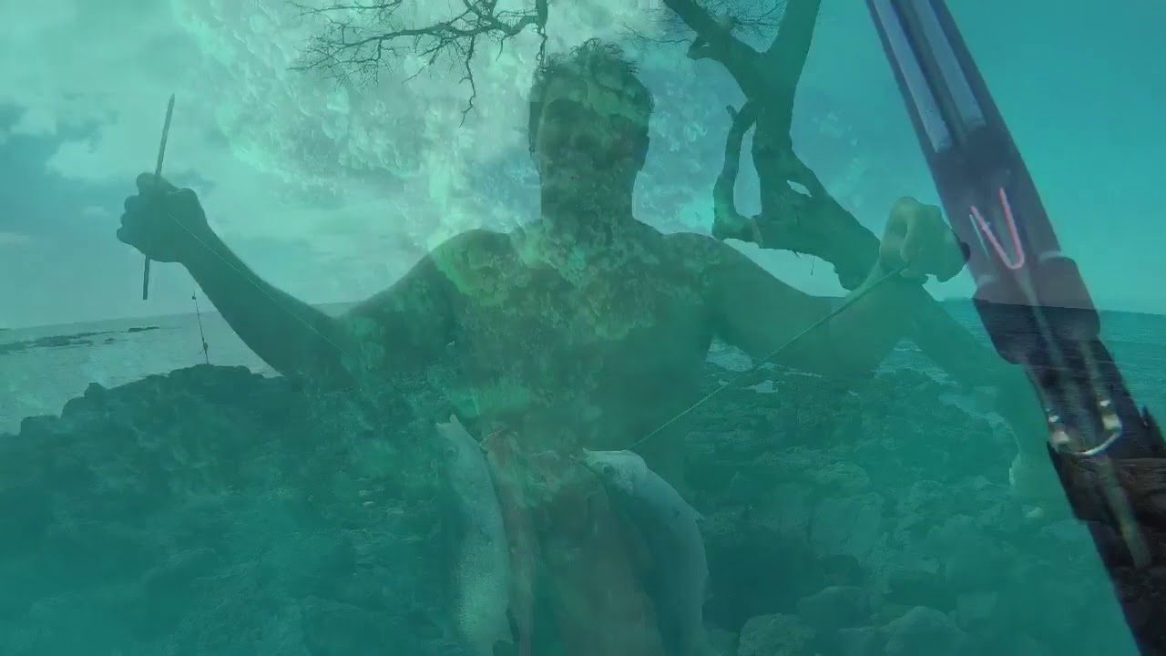 Maui Spearfishing
