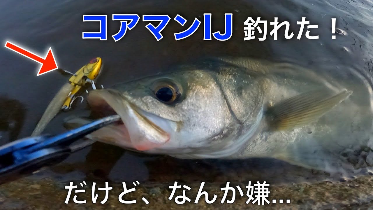 【コアマン】IJ-16を初めて使ってシーバスを狙ってみた結果。真夏の河川で2日間実釣！【アイアンジグヘッド】