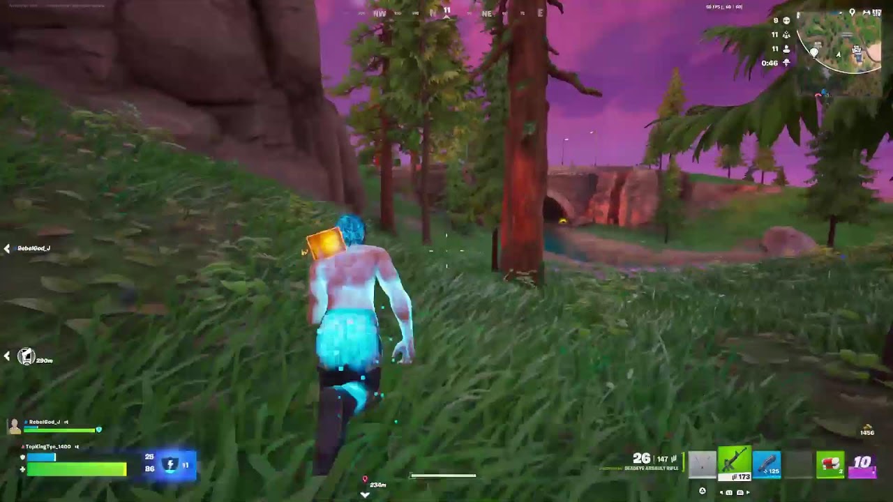Fortnite New Update Zero build Only