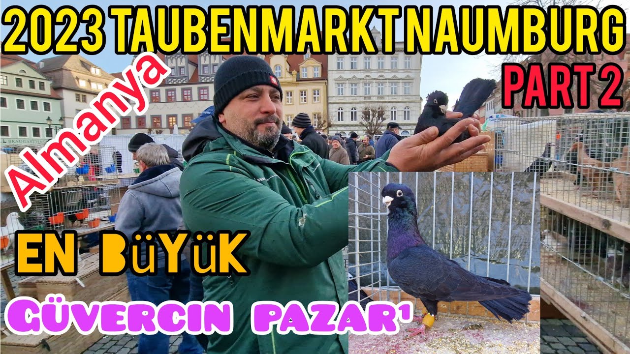 Almanyanin en büyük güvercin pazarı Deutschland größte Taubenmarkt Naumburg#aksoyfiloelvanguvercin