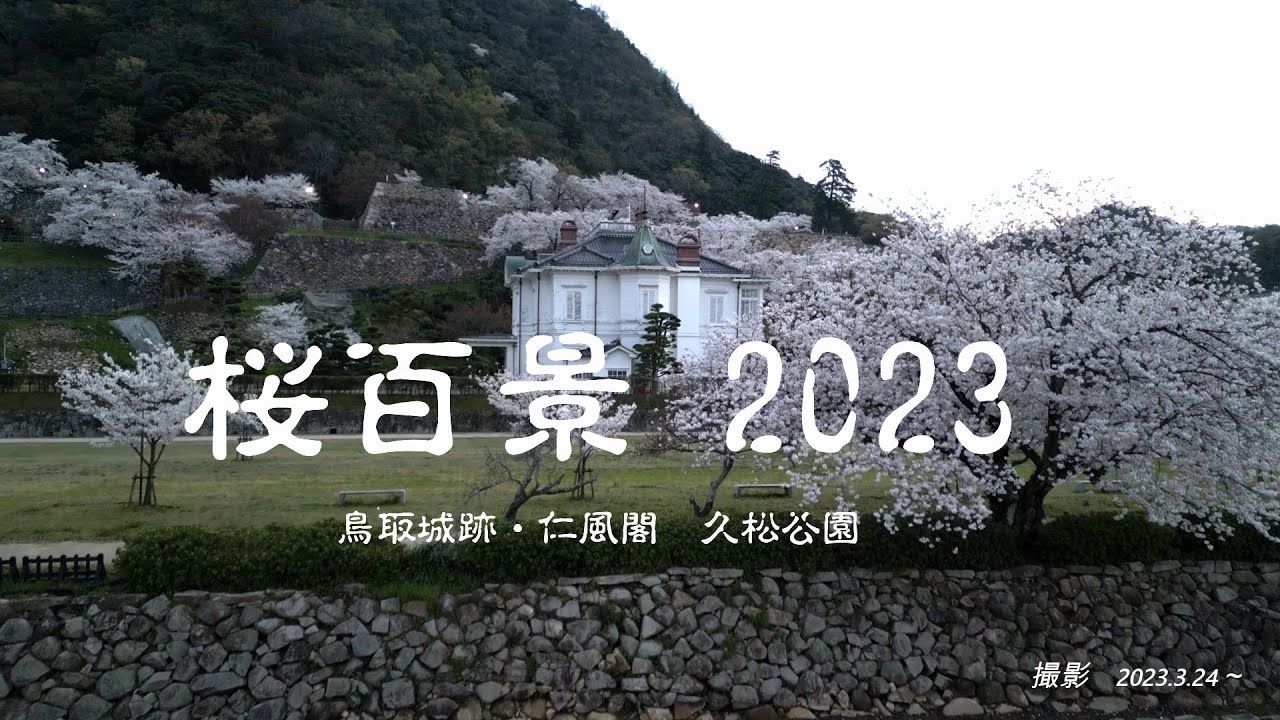 桜百景2023　久松公園ー　鳥取城跡、仁風閣（国の重要文化財）
