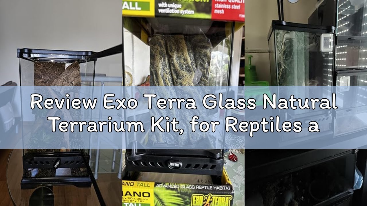 Review Exo Terra Glass Natural Terrarium Kit, for Reptiles and Amphibians, Nano Tall, 8 x 8 x 12 inc