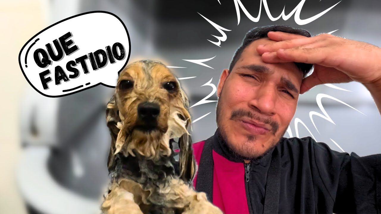 ¡CHANEL ME MUERDE! Cuando le AGARRO LAS PATAS / VLOG #1