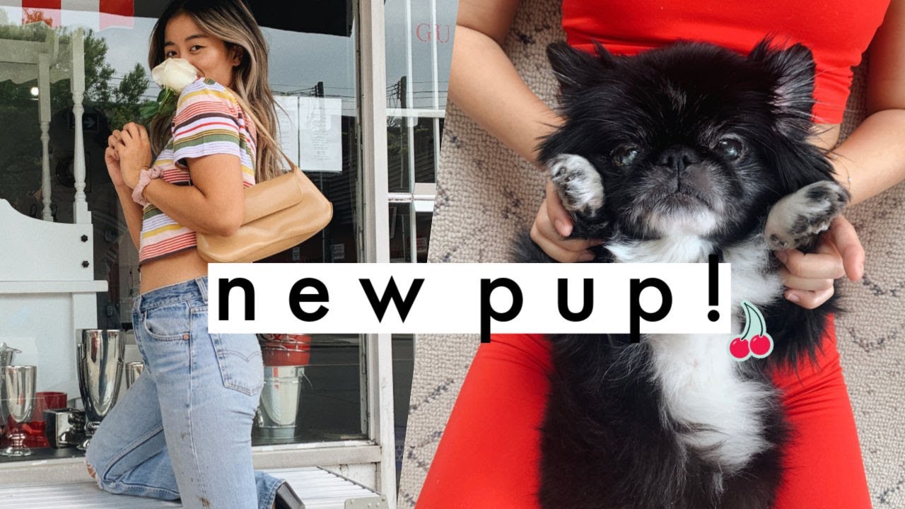 WE ADOPTED A DOG! and I thrifted a lot ... | weekly vlog