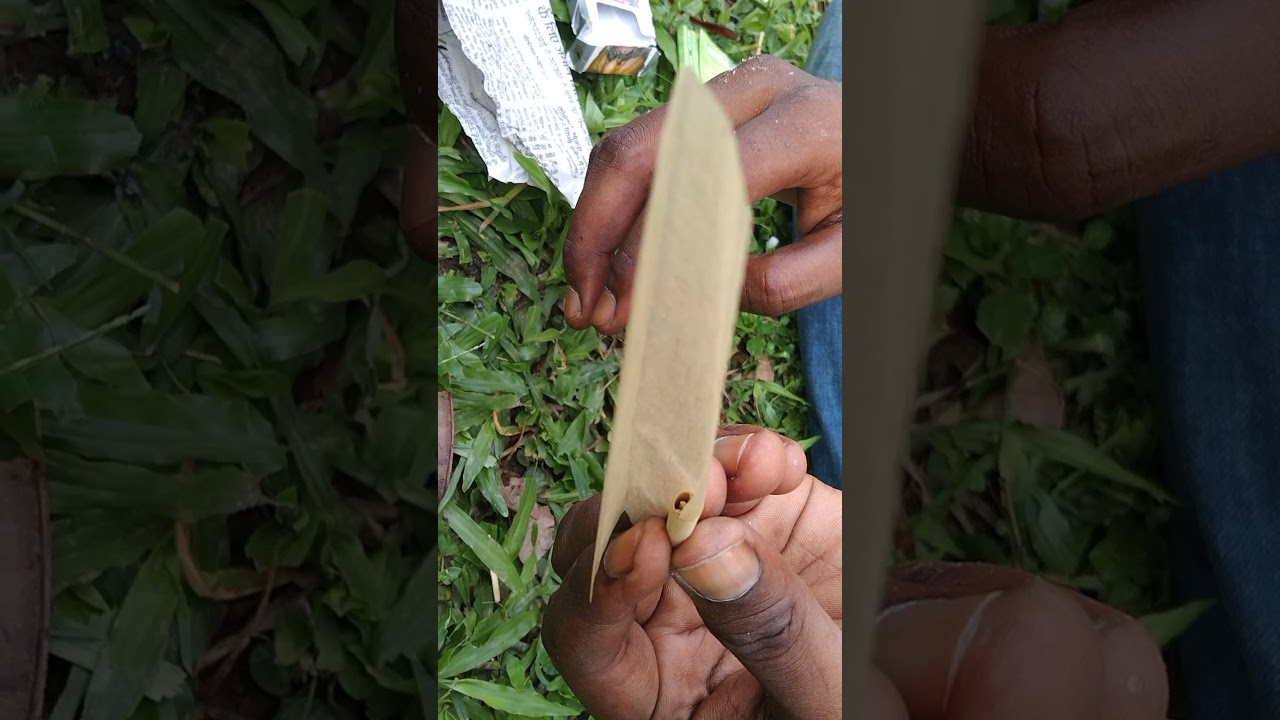 Gogo Paper banane ka tarika  How to roll a joint #gogo #roll #joint