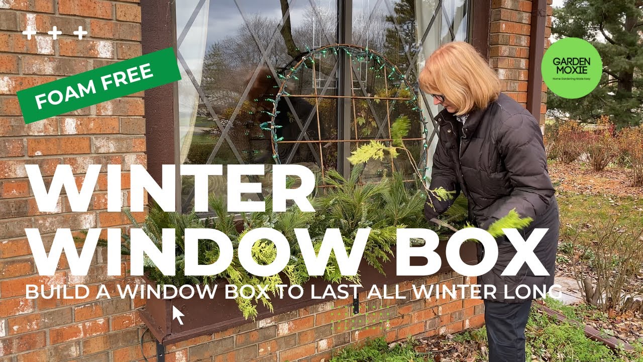 How To Create a Winter Window Box That Lasts