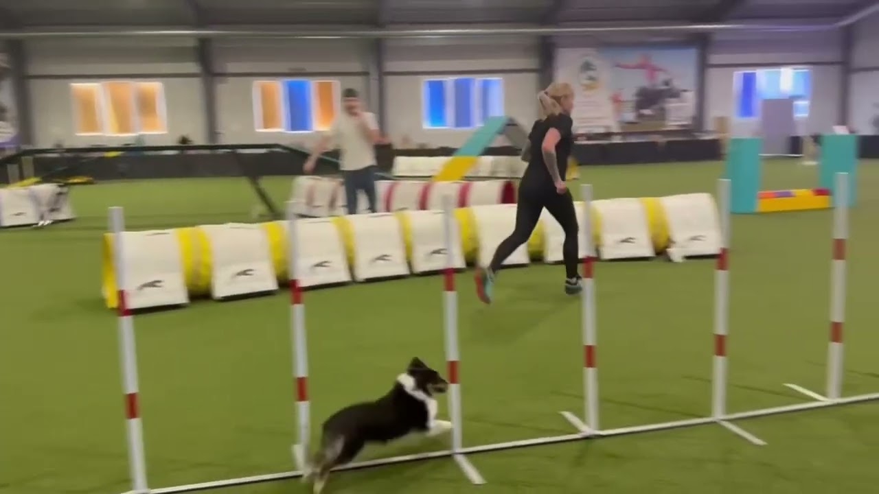 DogFlow Open with my girls