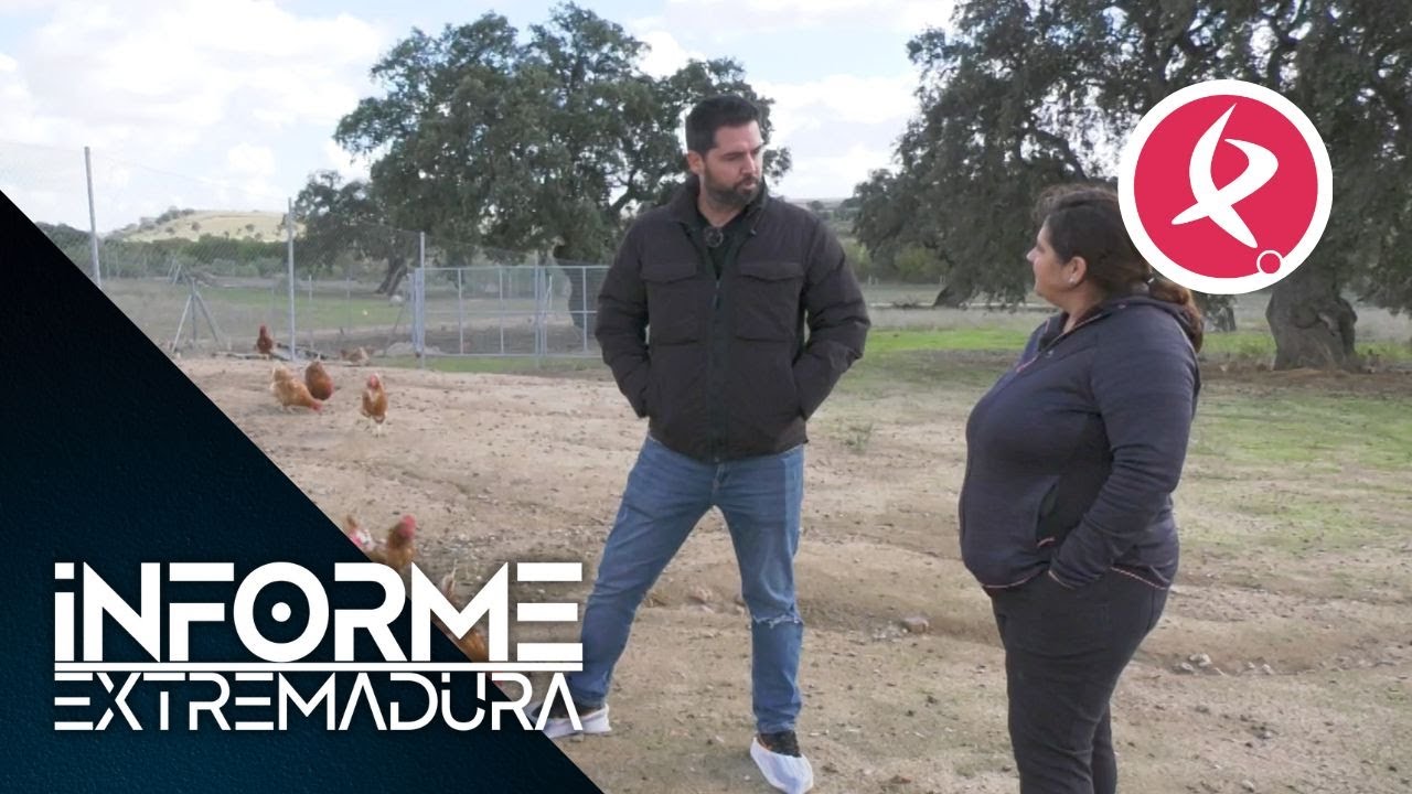 Las gallinas de Rosa, huevos del campo a la mesa sin intermediarios | Informe Extremadura