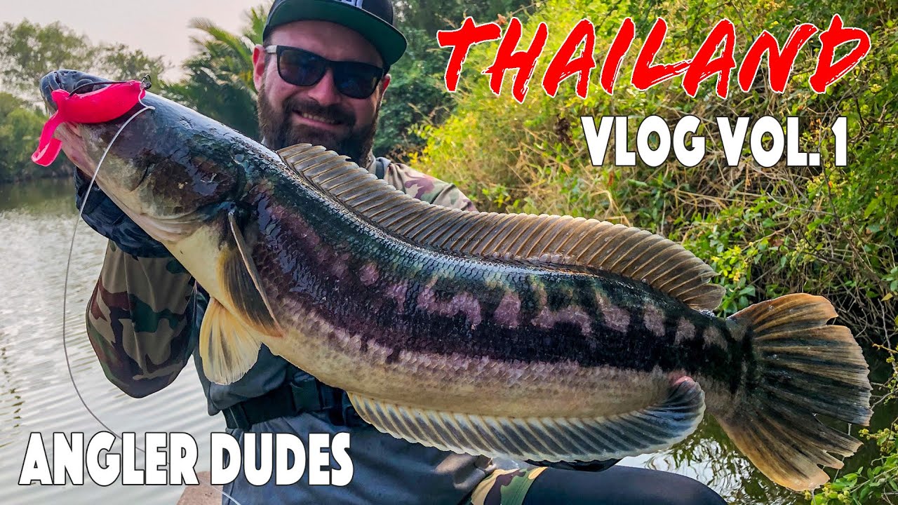 Giant Snakehead fishing Bangkok travel Vlog Vol.1