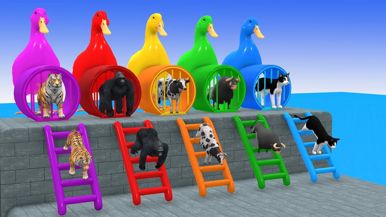 Long Slide Game With Cow Elephant Gorilla Hippopotamus Tiger - 3d Animal Game - Funny 3d Animals