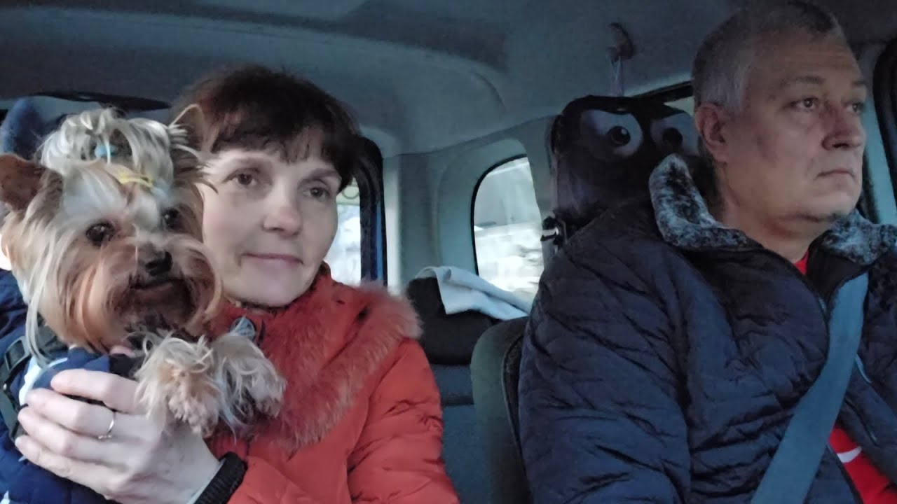 НОРВЕГИЯ. ПОЕЗДКА В КЛИНИКУ .... ЦЕНА ПРОСТО 😮🫣