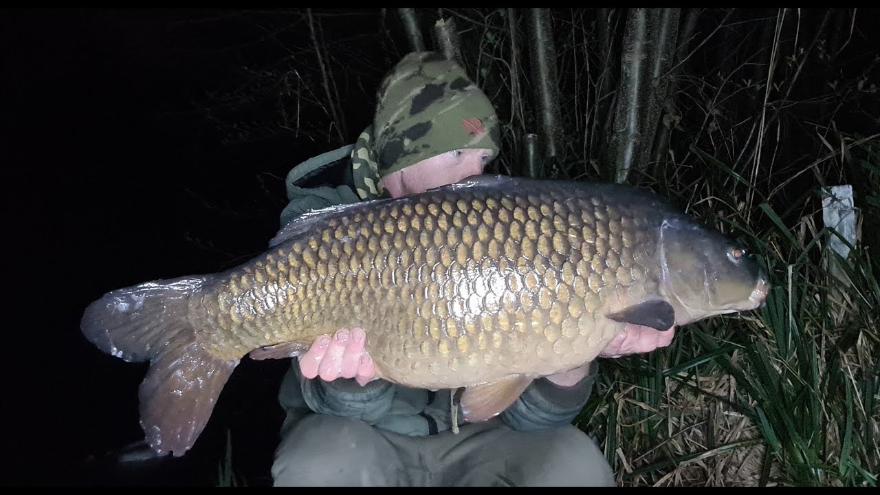 Steves Lake chasing a 30lber Part 4  - Darenth Fishing Complex