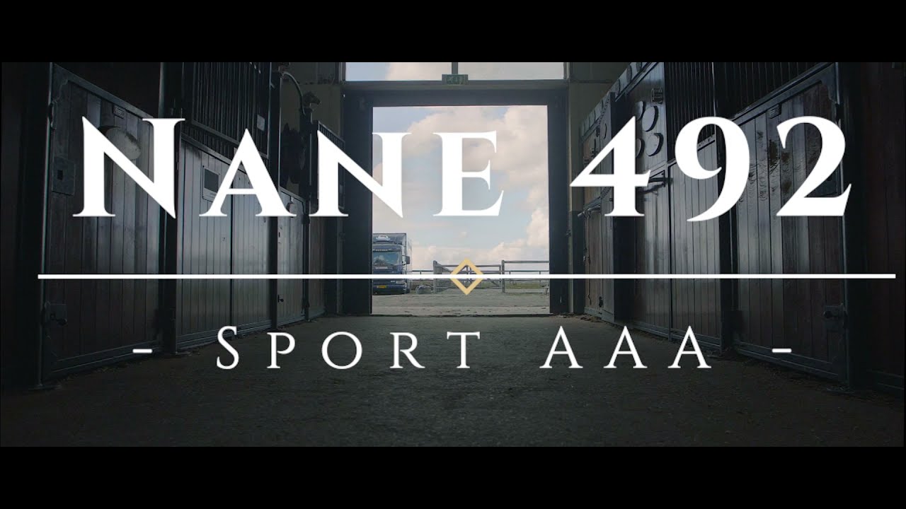 Henswoude Breeding & Export Stable - Nane 492 sport AAA