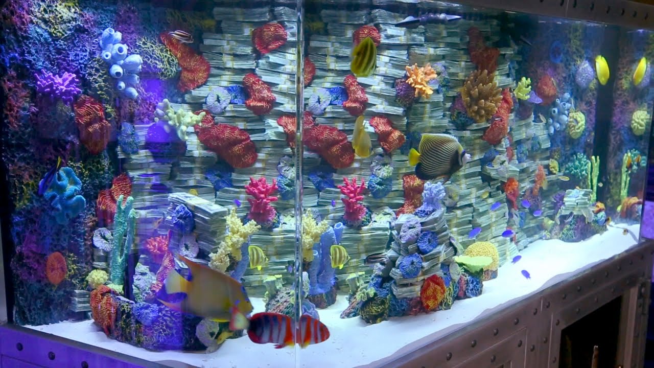 Tyga Gets Tanked